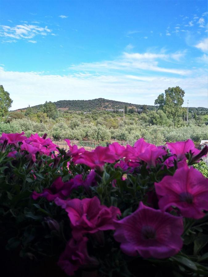 Villa San Pietro B&B L'Asfodelo מראה חיצוני תמונה
